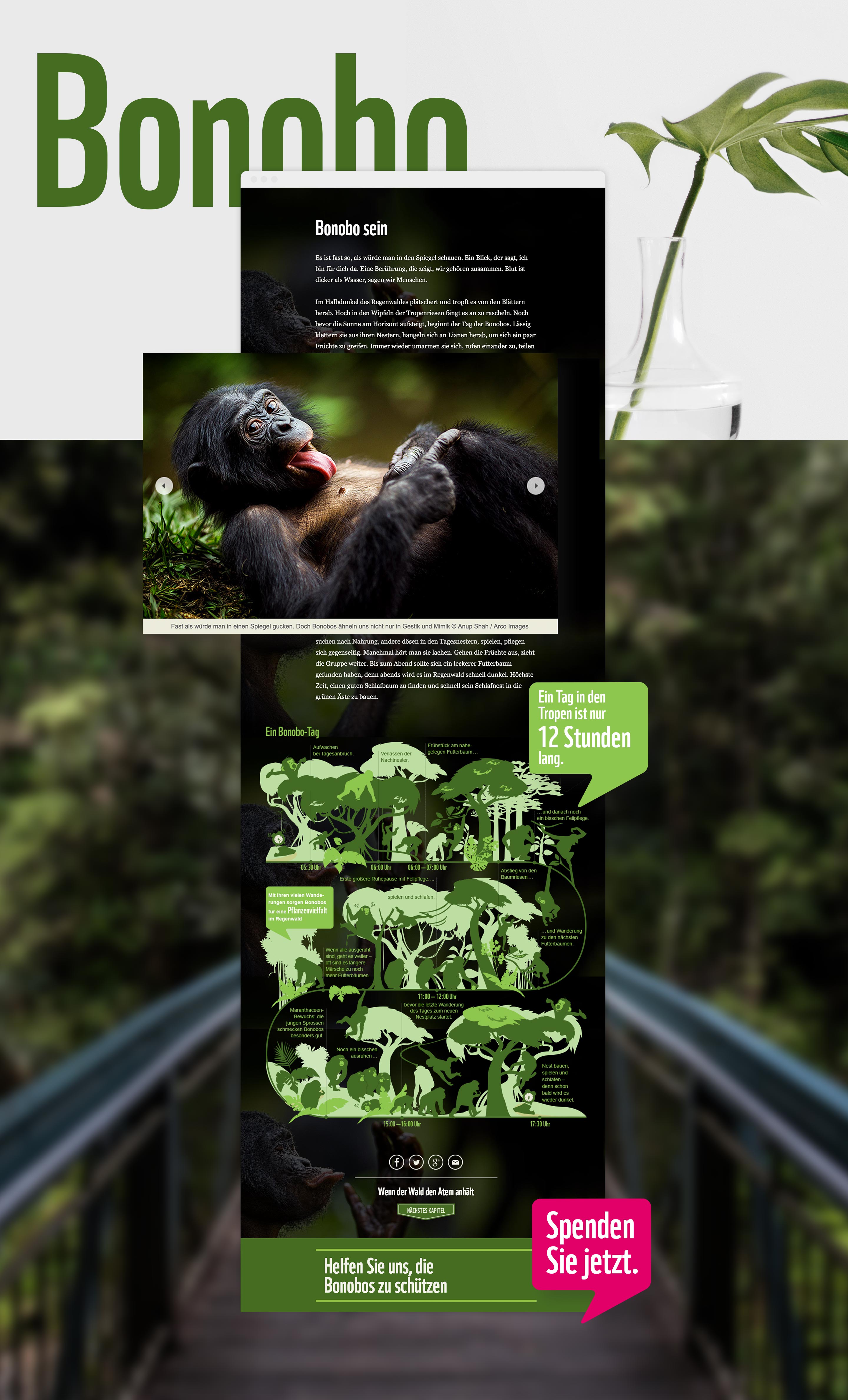 WWF_Bonobo